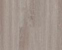 Timeless - Timeless Plank